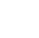 TeamLease Icon